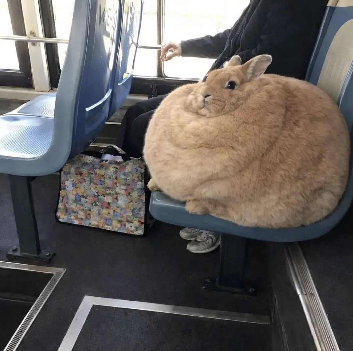 Big N Round
