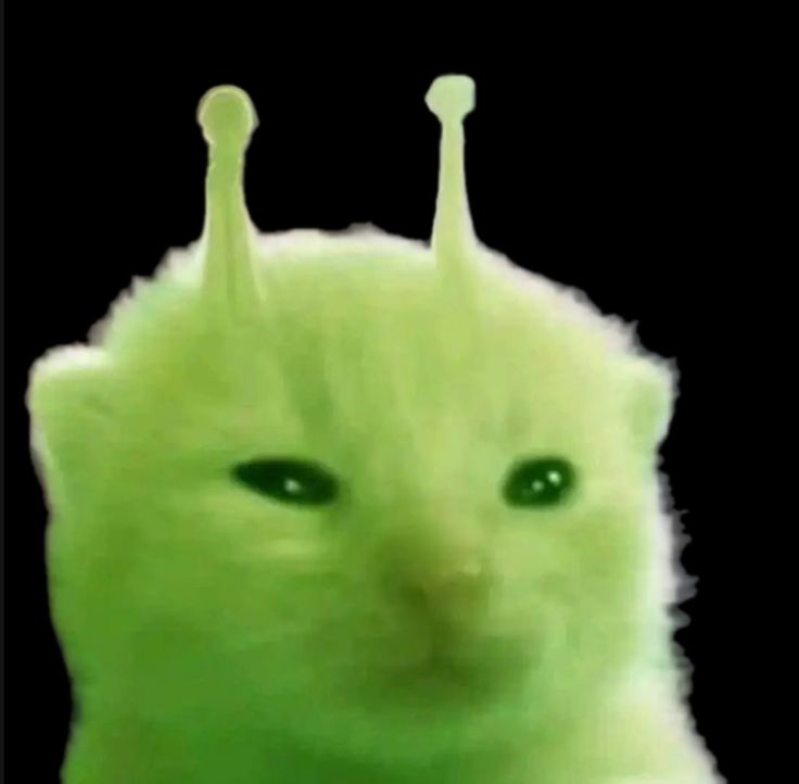 RocketRush1