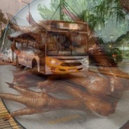 L9 BUS 雞爪